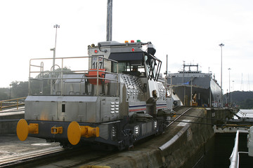 Lok