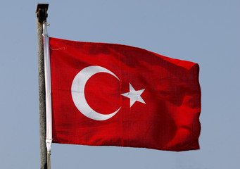 Türkische Flagge