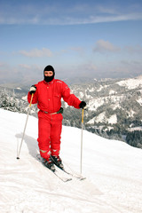 the skier