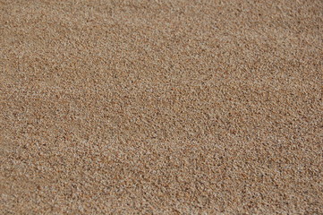 grains de sable