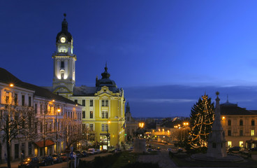 Beautiful view of town at night with christmas tree and lights