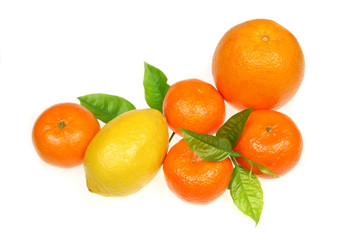 Citrus fruits