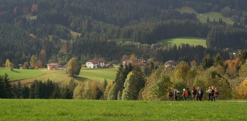 Allgäu 4