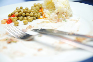 empty dish