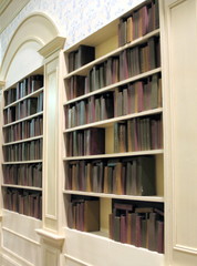 Library book shelves