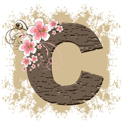 pink hibiscus grunge vintage alphabet C