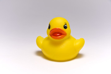 Toy Duck