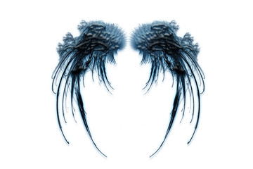Fototapeta premium wings