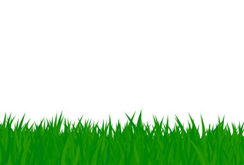 Fototapeta na wymiar illustrated grass