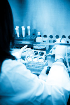 A female scientist working at the lab (in blue tone)