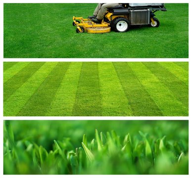horticulture banners