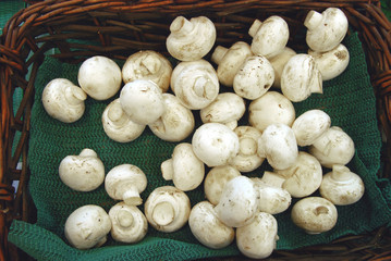 basket of mushrooms