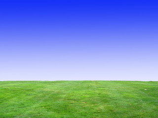 Fototapeta na wymiar Background of Blue Sky and Green Grass v1