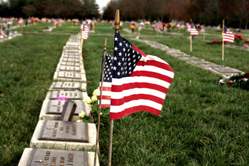 Flag at Vet Cemetery