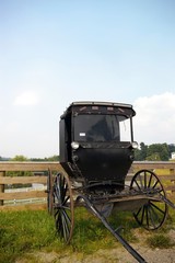 Amish Buggy