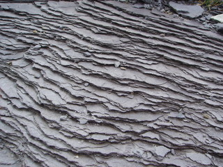 schiefer 1