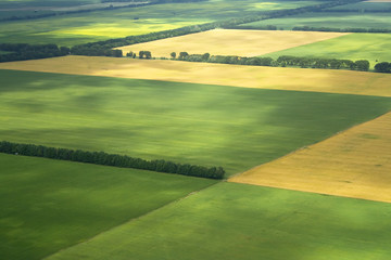 cultivation farm argiculture fields landscape with green blocks