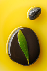 pierre zen