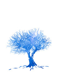 Obraz na płótnie Canvas winter tree