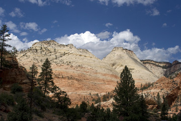 Zion National Park