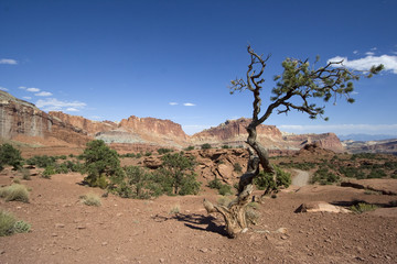 Capitol Reef National Park
