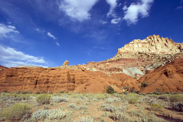 Fototapeta premium Capitol Reef National Park