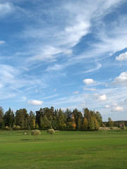 Fototapeta na wymiar Golf field in autumn colors two, view.