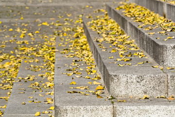 Autumn print over the ancient stone in the city of Avila