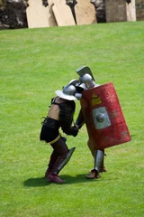 Foto op Plexiglas Ridders Romeinse gladiatoren