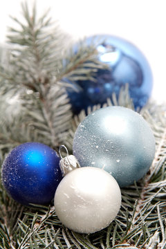 White and blue bulbs covered with snow and spruce thigs