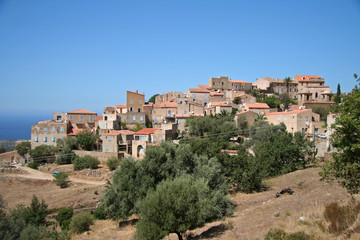 Fototapeta na wymiar Wieś Pigna na Korsyce