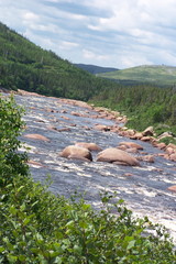 cours d'eau aux roches rouges