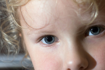 Small girl facial close - up portret (indoor) © wildman