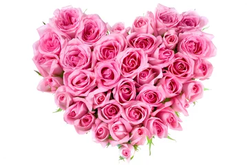 Photo sur Plexiglas Roses Rose en forme d& 39 amour