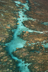 Tropical coral reef.