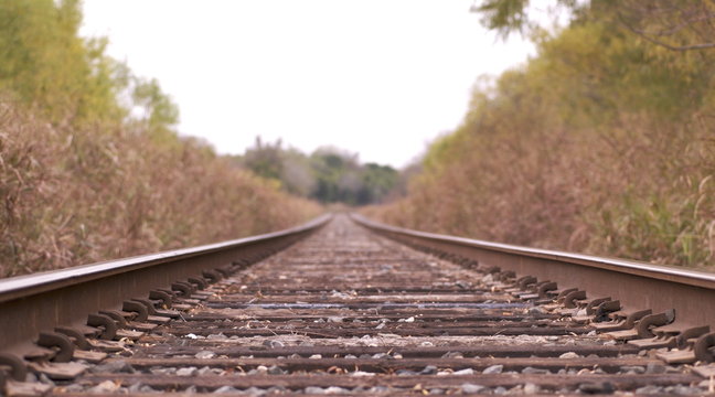 Train Tracks