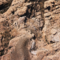 Grand Canyon area.