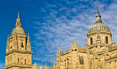 Deurstickers Detail of Salamanca cathedral, Spain. © JoseASReyes