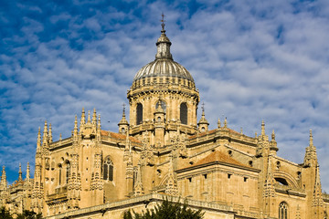 Obraz premium Detail of Salamanca cathedral, Spain.