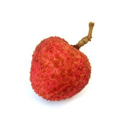 litchi chinensis