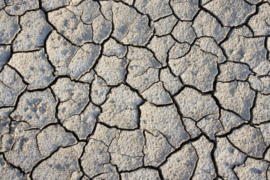 Cracked Dried Earth