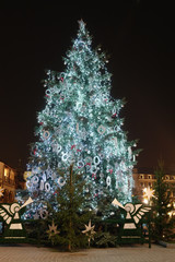 Giant outdoor christmas tree decorated with lights