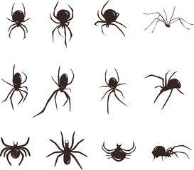spider siluet