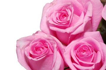 Fototapeta na wymiar close up view a pink roses in bouquet