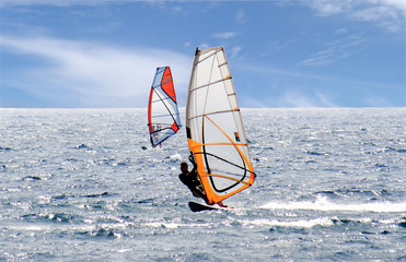 Pair of Windsurfers