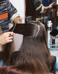 Fototapeta premium hairdress