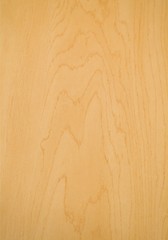 Natural Maple Background