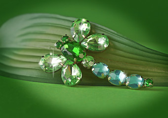 jewel-insect
