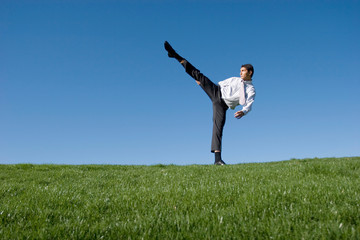 Businessman doing karate moves on green grass © MaxFX
