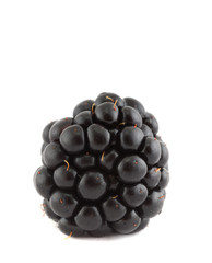Blackberry. Isolation on white